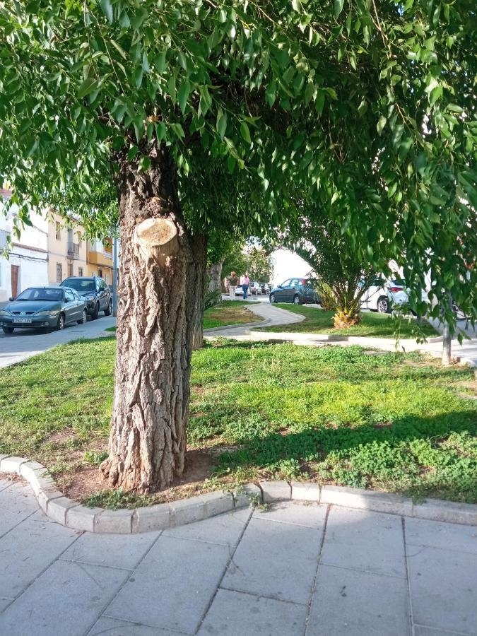 Apartamento San Miguel Баэна Экстерьер фото